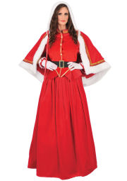 Elegant Mrs Santa Dress G441123