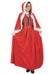 Jolly Mrs Santa Costume G441119
